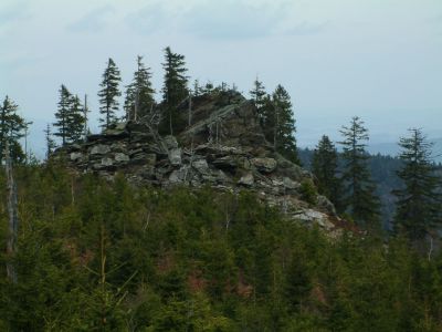 DSCF0090~3.JPG