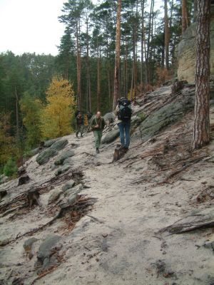 DSCF0109~0.JPG