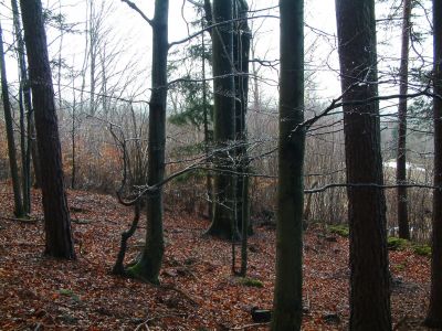 DSCF0113~0.JPG