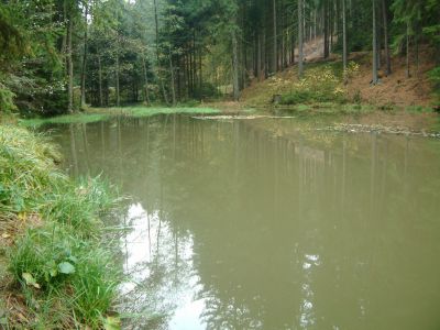 DSCF0114~3.JPG