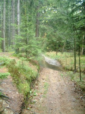 DSCF0116~2.JPG