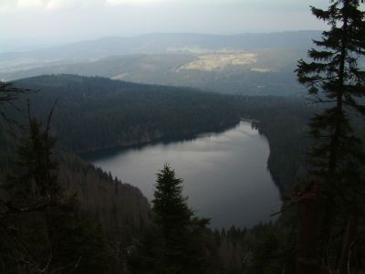 DSCF0119~1.JPG