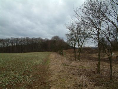 DSCF0120.JPG