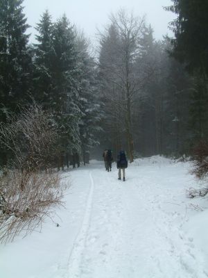 DSCF0122.JPG