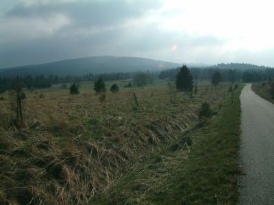 DSCF0125~1.JPG