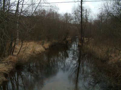 DSCF0141~2.JPG