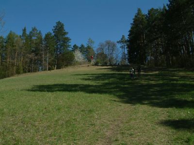DSCF0142~2.JPG