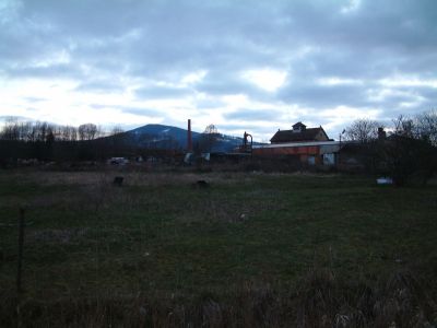 DSCF0146~1.JPG