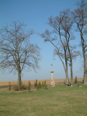DSCF0148.JPG