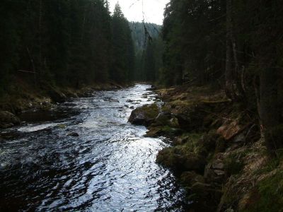 DSCF0150~2.JPG