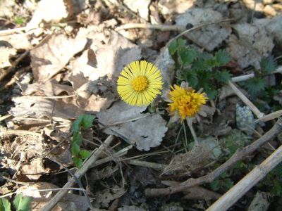 DSCF0188.JPG