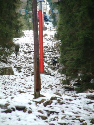 DSCF0211.JPG