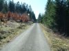 DSCF0003~4.JPG