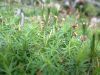 DSCF0004~3.JPG