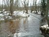 DSCF0004~4.JPG