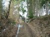 DSCF0005~1.JPG