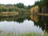 DSCF0006~1.JPG