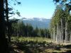 DSCF0009~2.JPG