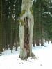 DSCF0016~2.JPG