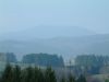 DSCF0017~0.JPG