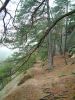 Filename=DSCF0020~4.JPG
Filesize=644KiB
Dimensions=1200x1596
Date added=Jan 07, 2018 DSCF0020~4.JPG
