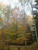 DSCF0023~0.JPG