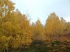 DSCF0026~1.JPG