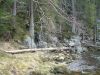 DSCF0026~2.JPG