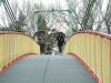 DSCF0029.JPG
