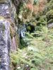 DSCF0029~1.JPG