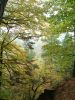 Filename=DSCF0032~0.JPG
Filesize=667KiB
Dimensions=1200x1596
Date added=Jan 07, 2018 DSCF0032~0.JPG