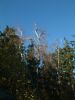DSCF0033~1.JPG