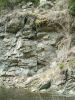 DSCF0038.JPG