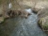 DSCF0044.JPG