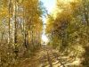 DSCF0048~2.JPG