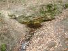 DSCF0049.JPG