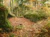Filename=DSCF0050~3.JPG
Filesize=424KiB
Dimensions=1200x901
Date added=Jan 07, 2018 DSCF0050~3.JPG