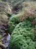 DSCF0051~1.JPG