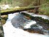 Filename=DSCF0059~1.JPG
Filesize=438KiB
Dimensions=1600x1202
Date added=Jan 02, 2019 DSCF0059~1.JPG