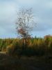 DSCF0066.JPG