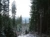 Filename=DSCF0068~4.JPG
Filesize=415KiB
Dimensions=1600x1202
Date added=Jan 02, 2019 DSCF0068~4.JPG