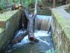 DSCF0069~1.JPG