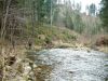 DSCF0078~1.JPG