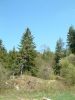 DSCF0087.JPG