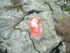 Filename=DSCF0098~0.JPG
Filesize=653KiB
Dimensions=1596x1200
Date added=Jul 04, 2017 DSCF0098~0.JPG