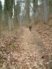 Filename=DSCF0112.JPG
Filesize=694KiB
Dimensions=1200x1596
Date added=May 19, 2016 DSCF0112.JPG