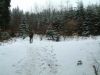 DSCF0117~1.JPG
