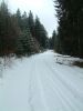 DSCF0118~0.JPG