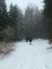 DSCF0122.JPG
