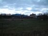 DSCF0146~1.JPG
